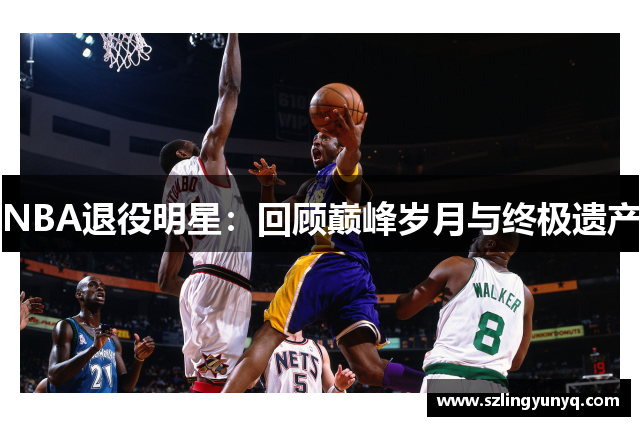 NBA退役明星：回顾巅峰岁月与终极遗产