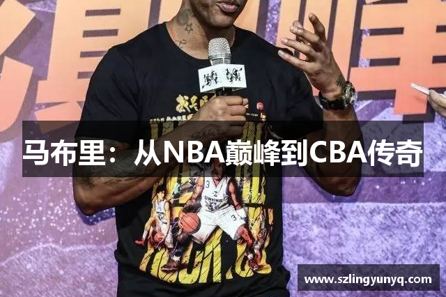 马布里：从NBA巅峰到CBA传奇