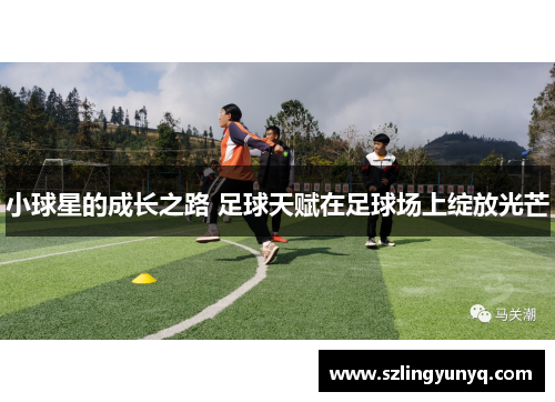 小球星的成长之路 足球天赋在足球场上绽放光芒