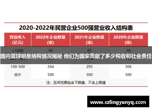 国内篮球明星纳税情况揭秘 他们为国家贡献了多少税收和社会责任