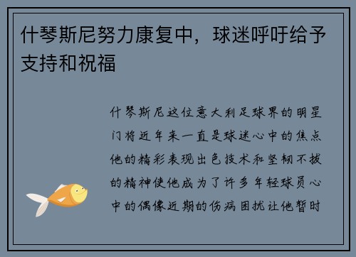 什琴斯尼努力康复中，球迷呼吁给予支持和祝福